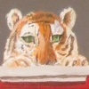 Tigers In Cleveland